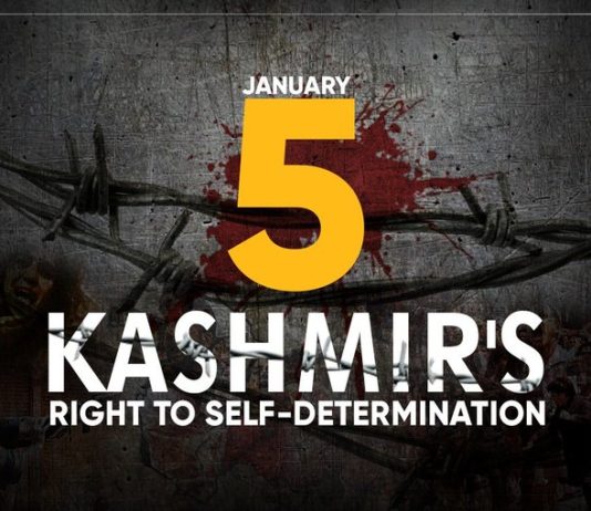 kashmir-4-534x462