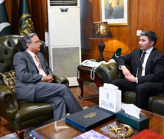 asad-majid-534x452
