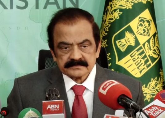 rana-sana-534x380
