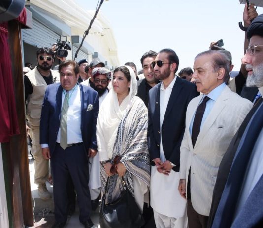 sharif-2-534x462