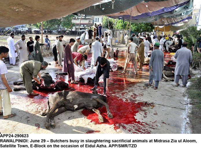 APP24-290623Rawalpindi